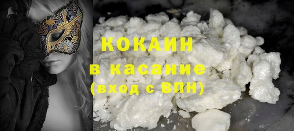 молекула духа Арсеньев