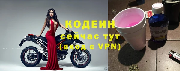шишки Абаза