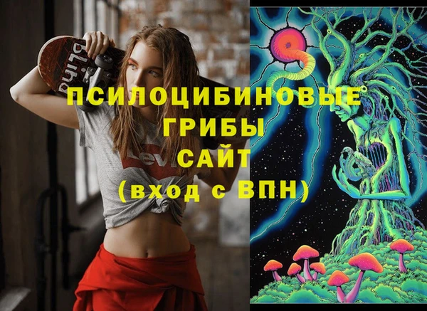 молекула духа Арсеньев