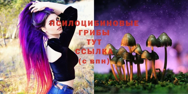 mdpv Алзамай