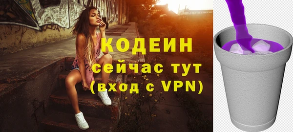 молекула духа Арсеньев