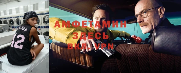 молекула духа Арсеньев